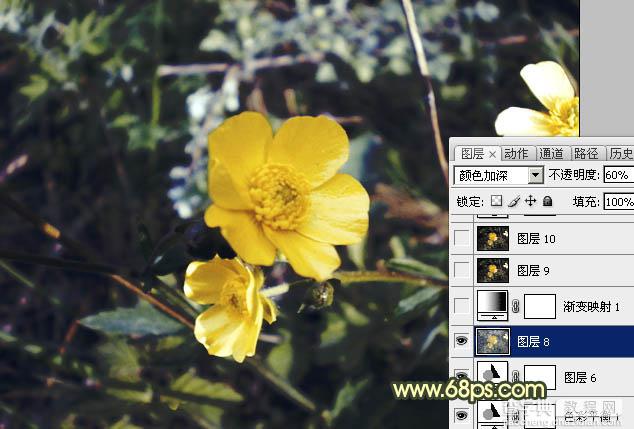 Photoshop将花朵图片调成强对比的暗黄色13