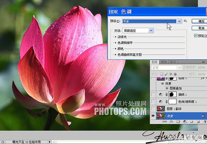 Photoshop将荷花特写图片打造出高清的暗紫色效果3