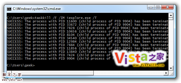 巧用命令一次关闭Vista下多个IE8进程2