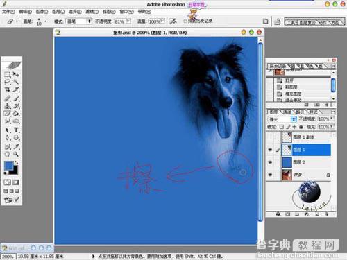 photoshop 利用橡皮及蒙版抠出长毛的小狗9