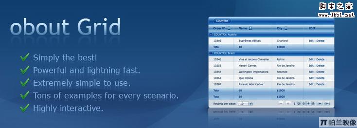 整理了12款Javascript 表格控件(DataGrid)9