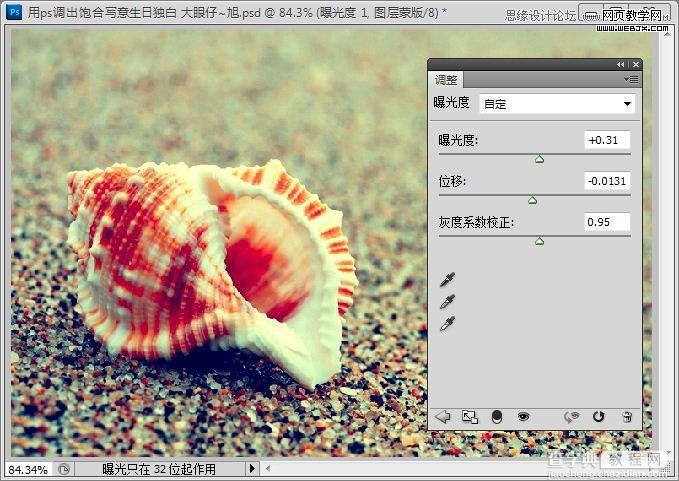 Photoshop制作出低调的沙滩海螺图片的写意效果教程15