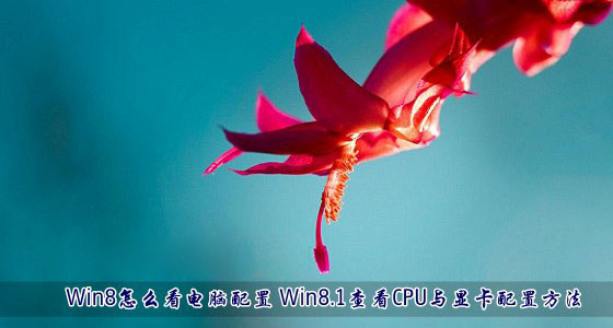 Win8系统中怎么看电脑配置情况？Win8.1查看CPU与显卡配置方法介绍1