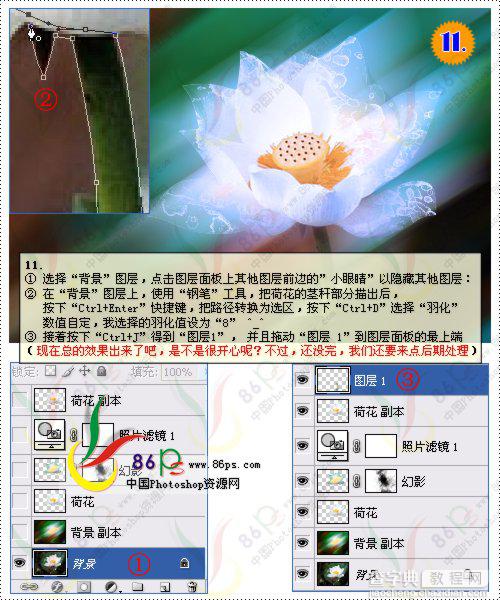 花卉照片处理 Photoshop照片处理教程13