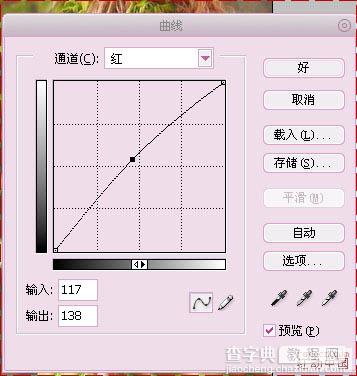 Photoshop将模特图片调成柔美的红青色8