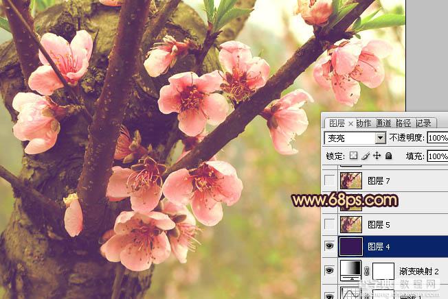Photoshop调出桃花图片漂亮的粉红色15