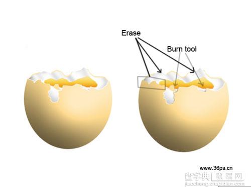 Photoshop 逼真的磕开口的煮鸡蛋13