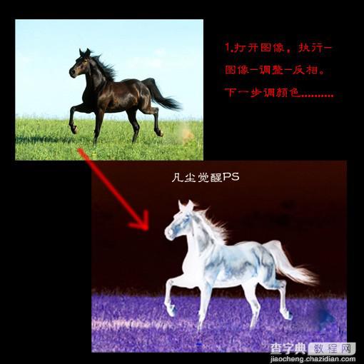 Photoshop 一匹燃烧的火马3