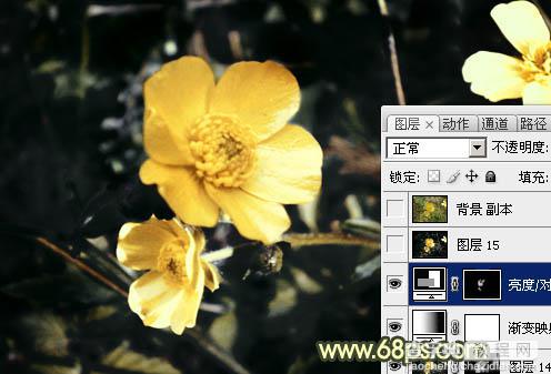 Photoshop将花朵图片调成强对比的暗黄色31