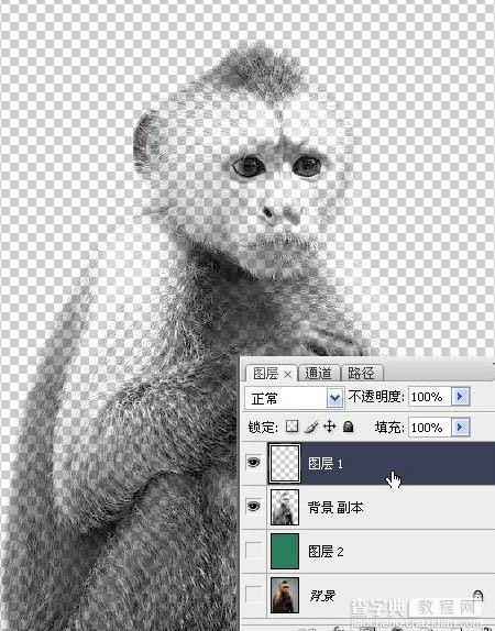 photoshop一图多解找出抠取毛发的最佳方法12