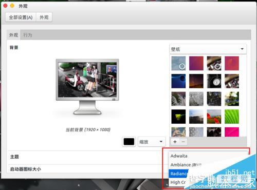 ubuntu16.04怎么更换自定义主题? ubuntu16.04主题的两种设置方法3