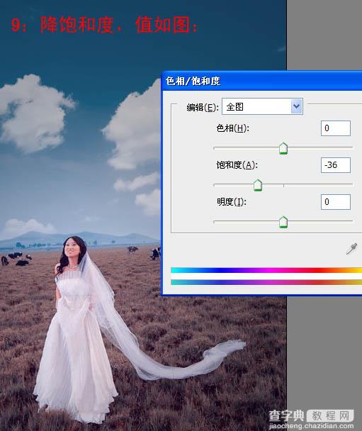 Photoshop 清晰开阔的蓝紫色草原婚片12