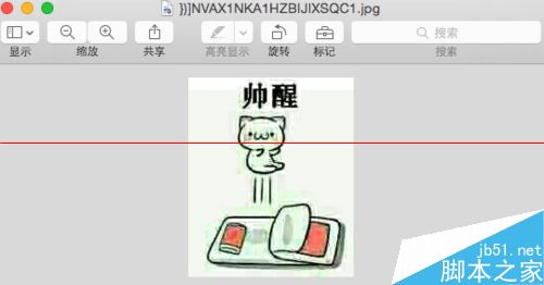 Mac中怎么给表情添加文字？Mac系统快速修改表情文字的方法2