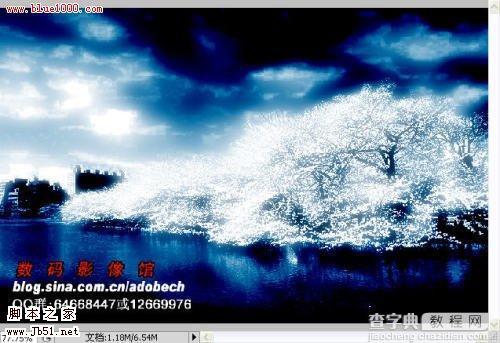 photoshop 树外景照片添加雪景般的梦幻效果2