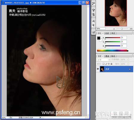photoshop 利用素材给美女编制一张花纹脸3