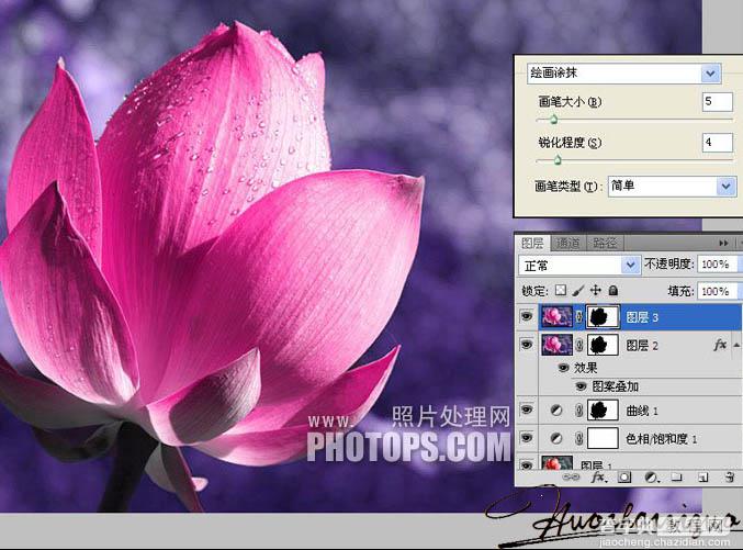 Photoshop将荷花特写图片打造出高清的暗紫色效果10