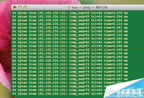 苹果MAC系统怎么使用ping命令打开终端？8