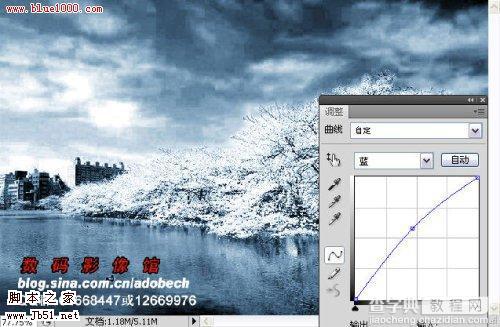 photoshop 树外景照片添加雪景般的梦幻效果8