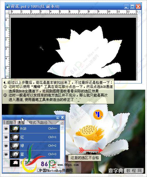 花卉照片处理 Photoshop照片处理教程6