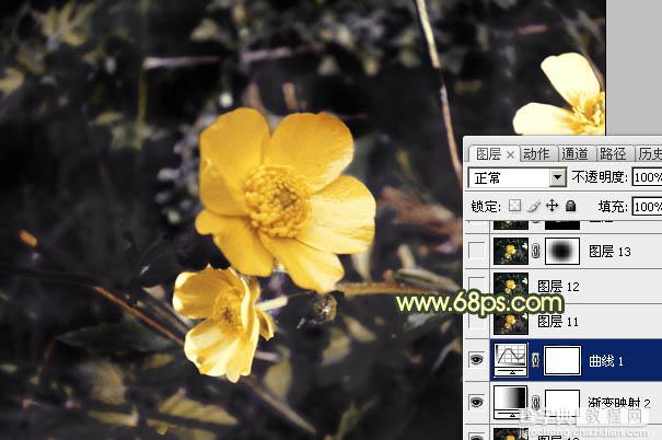Photoshop将花朵图片调成强对比的暗黄色21