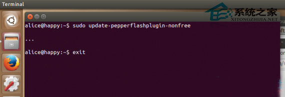 Ubuntu中Chromium安装Flash的方法4