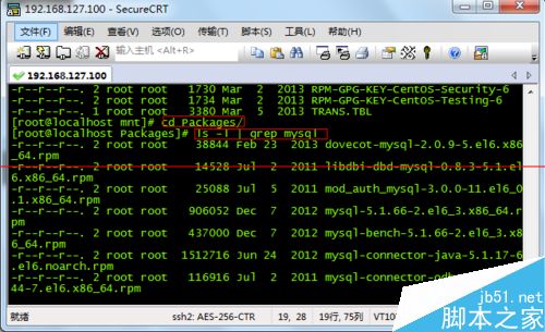 Linux系统下挂载光盘的教程4