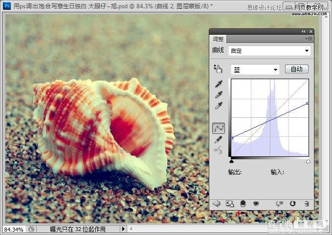 Photoshop制作出低调的沙滩海螺图片的写意效果教程14