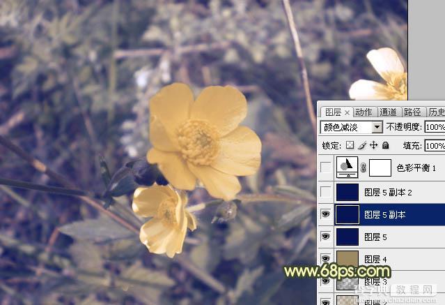 Photoshop将花朵图片调成强对比的暗黄色7