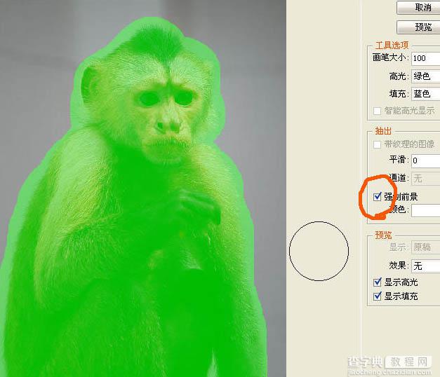 photoshop一图多解找出抠取毛发的最佳方法7