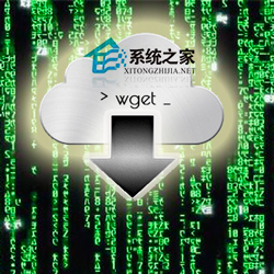 Linux系统中下载文件的wget命令操作实例1