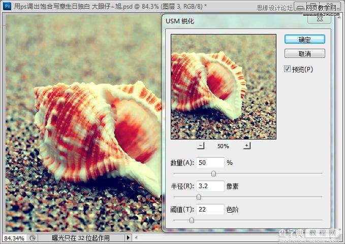 Photoshop制作出低调的沙滩海螺图片的写意效果教程17