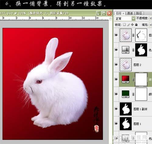 photoshop CS3黑白命令抠出小白兔11