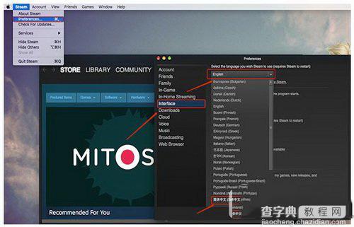 mac版steam无法设置中文怎么办 steam更新后中文设置无效解决方法2