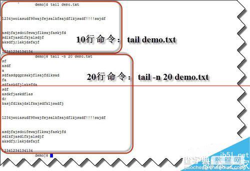 linux 系统怎么用命令行动态显示文件内容？7