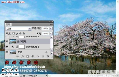 photoshop 树外景照片添加雪景般的梦幻效果4