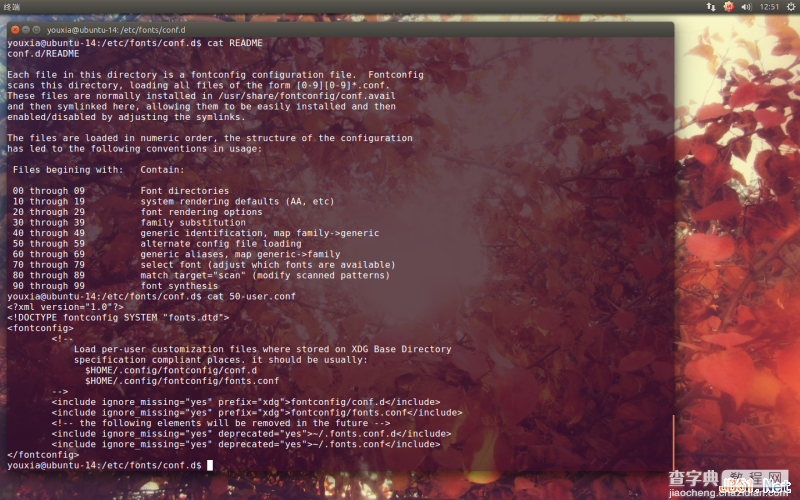 Linux折腾记（五）：在Ubuntu 14.10中使用Windows字体4