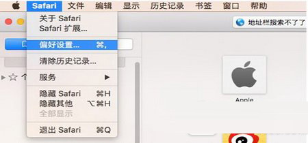 safari地址栏设为百度搜索后无法搜索怎么办 safari地址栏无法搜索的解决办法2