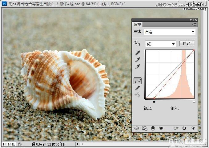 Photoshop制作出低调的沙滩海螺图片的写意效果教程4