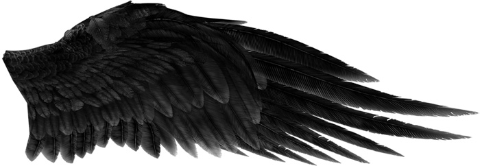 Photoshop制作超酷的黑翼天使10