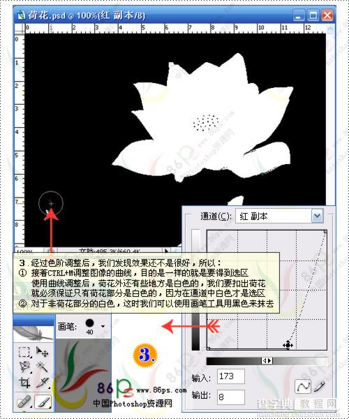 花卉照片处理 Photoshop照片处理教程5