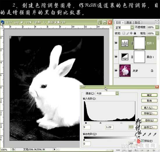 photoshop CS3黑白命令抠出小白兔5