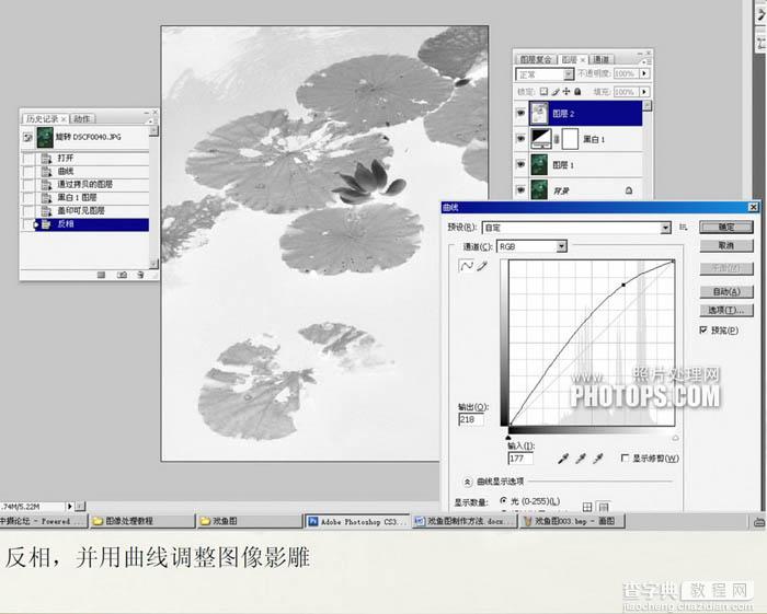 Photoshop将普通的荷叶图转成经典水墨画效果6