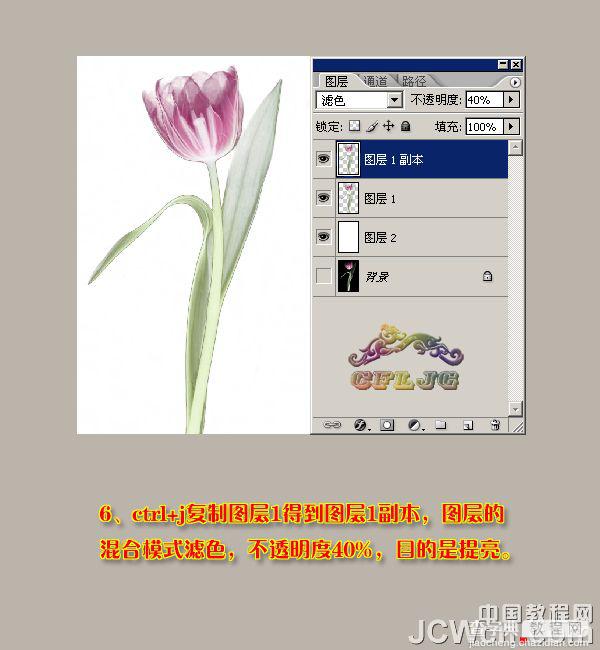 photoshop 利用背景橡皮擦工具快速抠出背景单一的花朵8