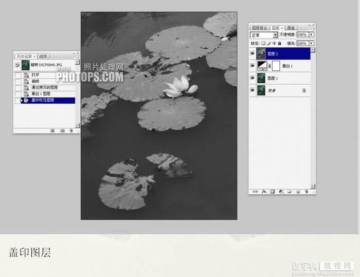 Photoshop将普通的荷叶图转成经典水墨画效果5