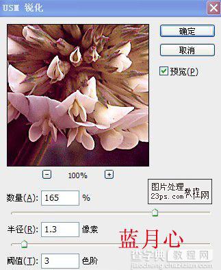 Photoshop将绿色的花朵调成漂亮的紫色调14