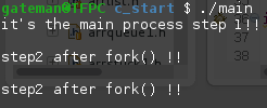 举例讲解C语言的fork()函数创建子进程的用法1