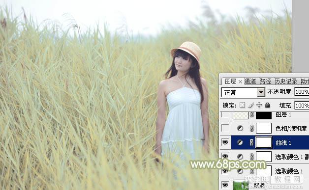 Photoshop将芦苇美女图片打造非常淡雅的冷色调9