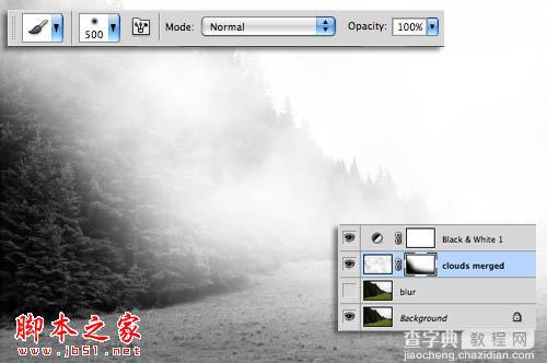 Photoshop为树林图片增加上淡灰色迷雾8
