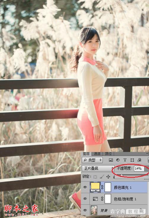 Photoshop将秋季芦苇边的美女图片增加上通透的甜美色11