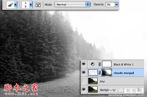 Photoshop为树林图片增加上淡灰色迷雾9
